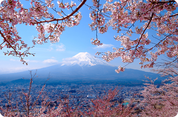 Reliability & Honest Pricing